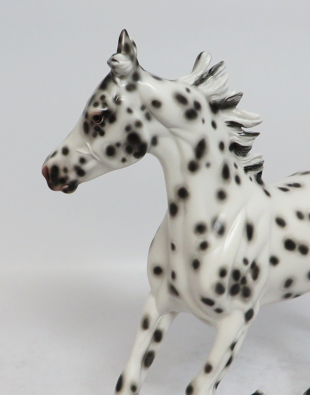 MIMI - OOAK BLACK LEOPARD APPALOOSA YEARLING MODEL HORSE BY SHERYL