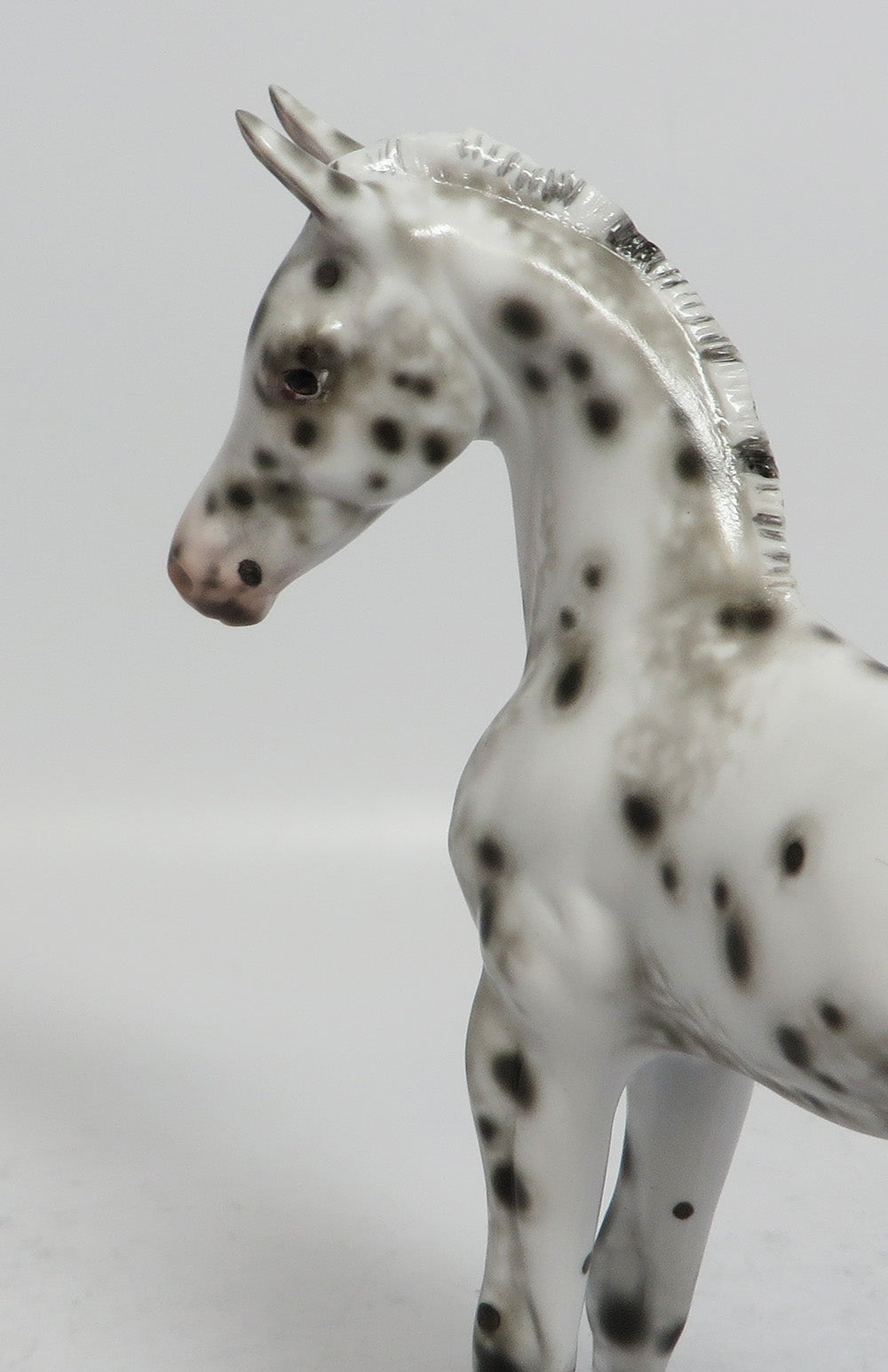 POLLY - OOAK BLACK LEOPARD APPALOOSA FOAL MODEL HORSE BY SHERYL