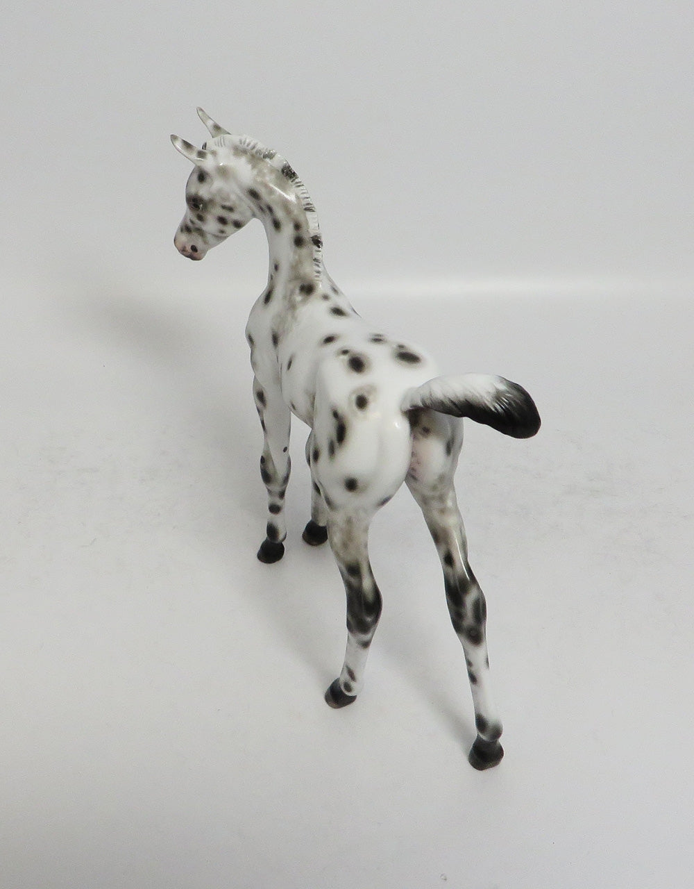 POLLY - OOAK BLACK LEOPARD APPALOOSA FOAL MODEL HORSE BY SHERYL
