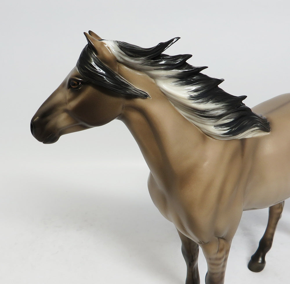 MACCOULAY-OOAK DUN MUSTANG BY SHERYL LEISURE 1/26/18