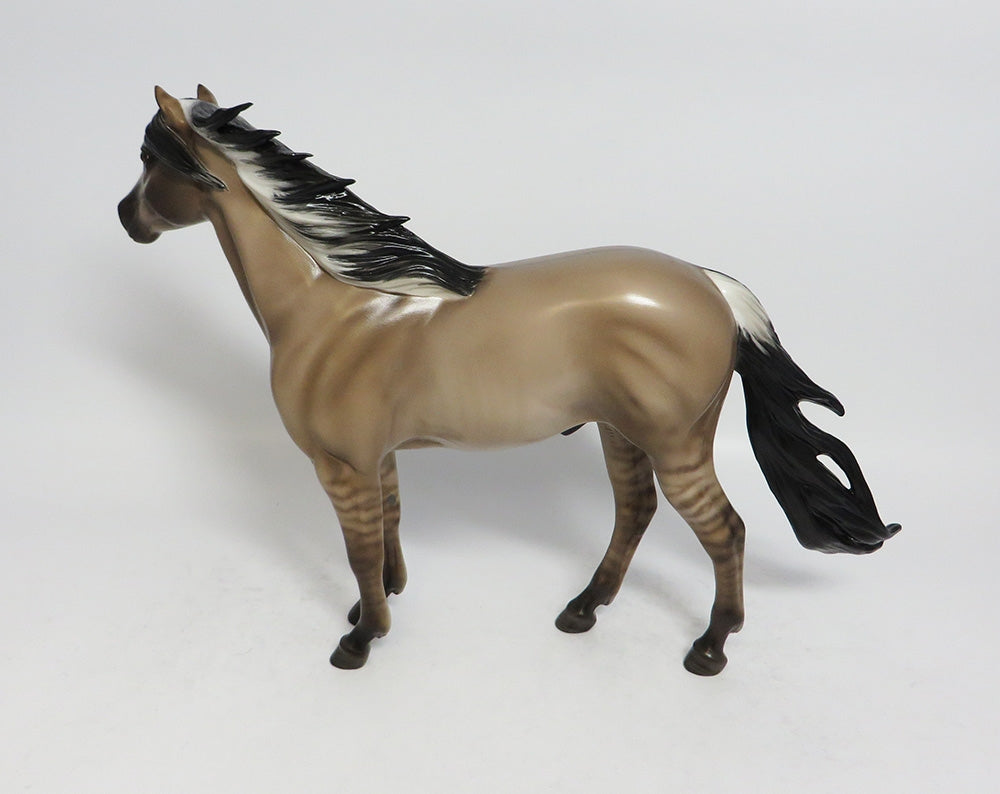 MACCOULAY-OOAK DUN MUSTANG BY SHERYL LEISURE 1/26/18