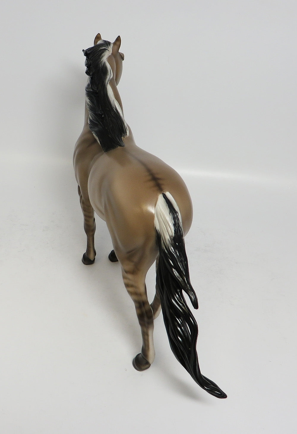 MACCOULAY-OOAK DUN MUSTANG BY SHERYL LEISURE 1/26/18