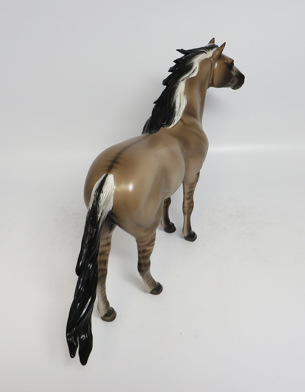 MACCOULAY-OOAK DUN MUSTANG BY SHERYL LEISURE 1/26/18