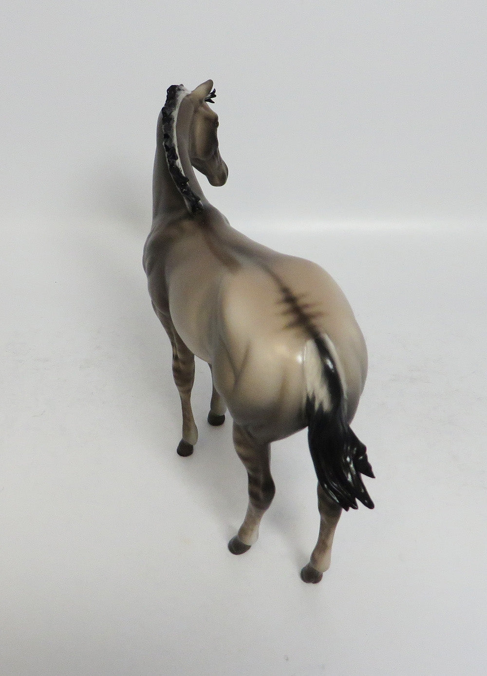 SELMA-OOAK DUN WEANLING BY SHERYL LEISURE 1/27/18