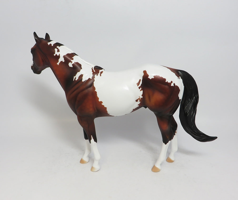 TAKE A CHANCE~OOAK DAPPLE BAY PINTO ISH BY DAWN QUICK 1-26-18