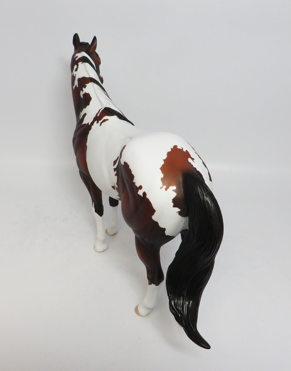 TAKE A CHANCE~OOAK DAPPLE BAY PINTO ISH BY DAWN QUICK 1-26-18