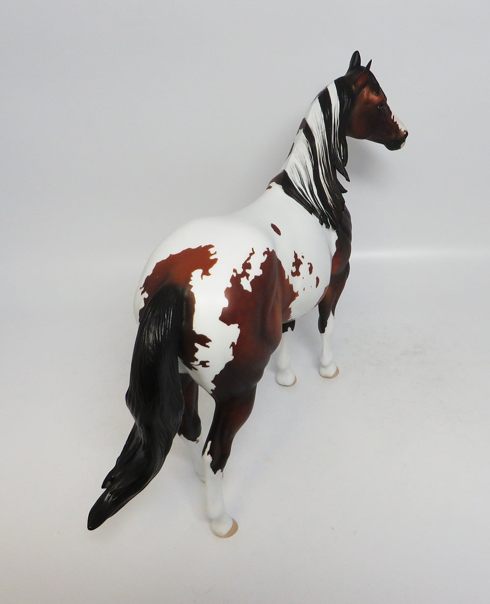 TAKE A CHANCE~OOAK DAPPLE BAY PINTO ISH BY DAWN QUICK 1-26-18