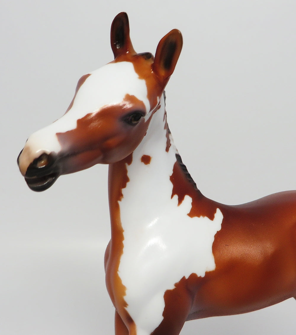 CABRILLO~OOAK BAY PAINT FOAL BY JT MODEL HORSE 6/29