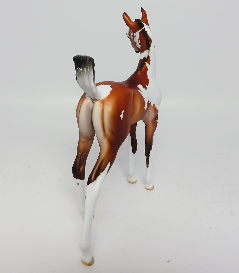 CABRILLO~OOAK BAY PAINT FOAL BY JT MODEL HORSE 6/29