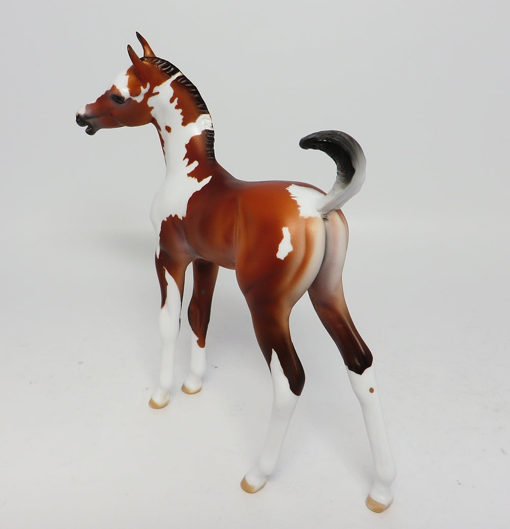 CABRILLO~OOAK BAY PAINT FOAL BY JT MODEL HORSE 6/29