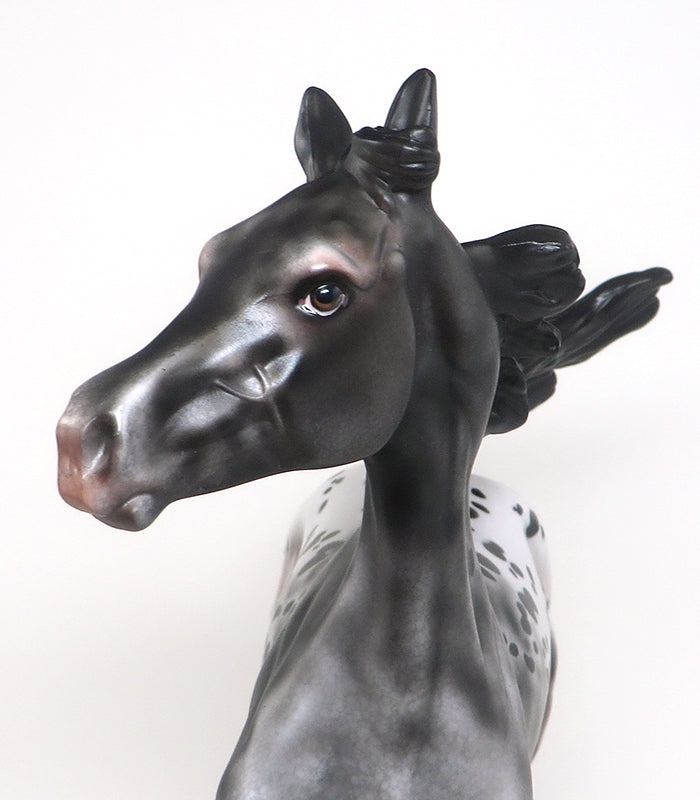 one of a kind appaloosa