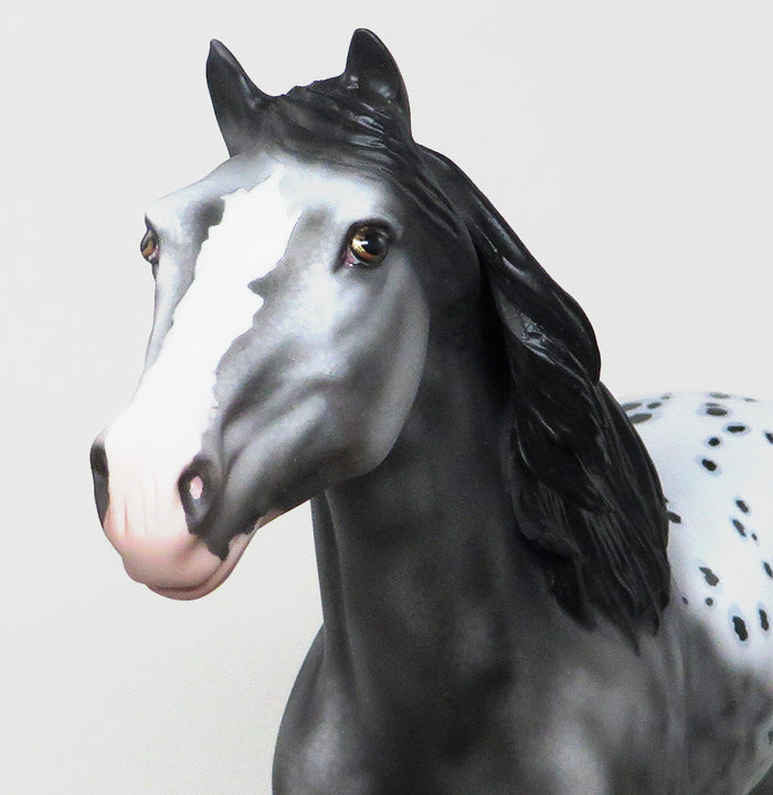 APPALOOSA