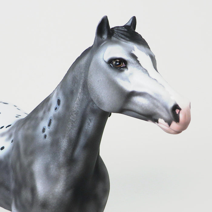 OOAK APPALOOSA MUSTANG