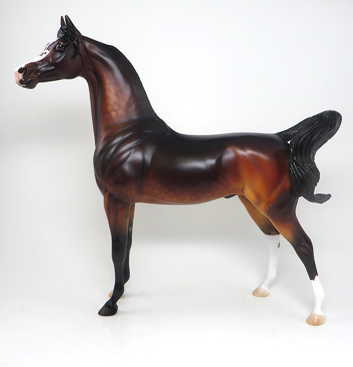 nasat ooak dapple bay arabain