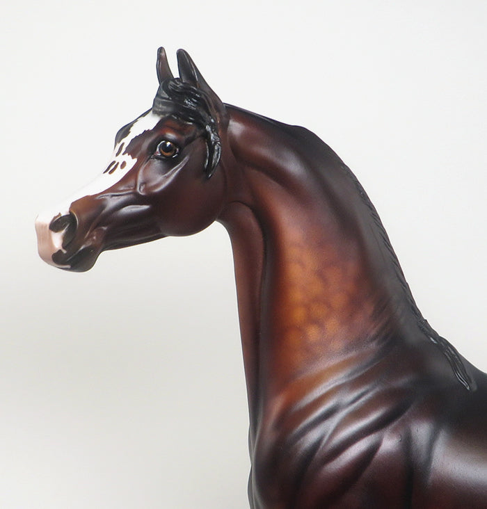 model horse arabian dapple bay