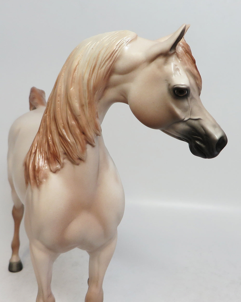 LUCK OF THE DRAW-LE-7 CHESTNUT GOING GREY ARABIAN MODEL HORSE SUPER BOWL SALE 2018