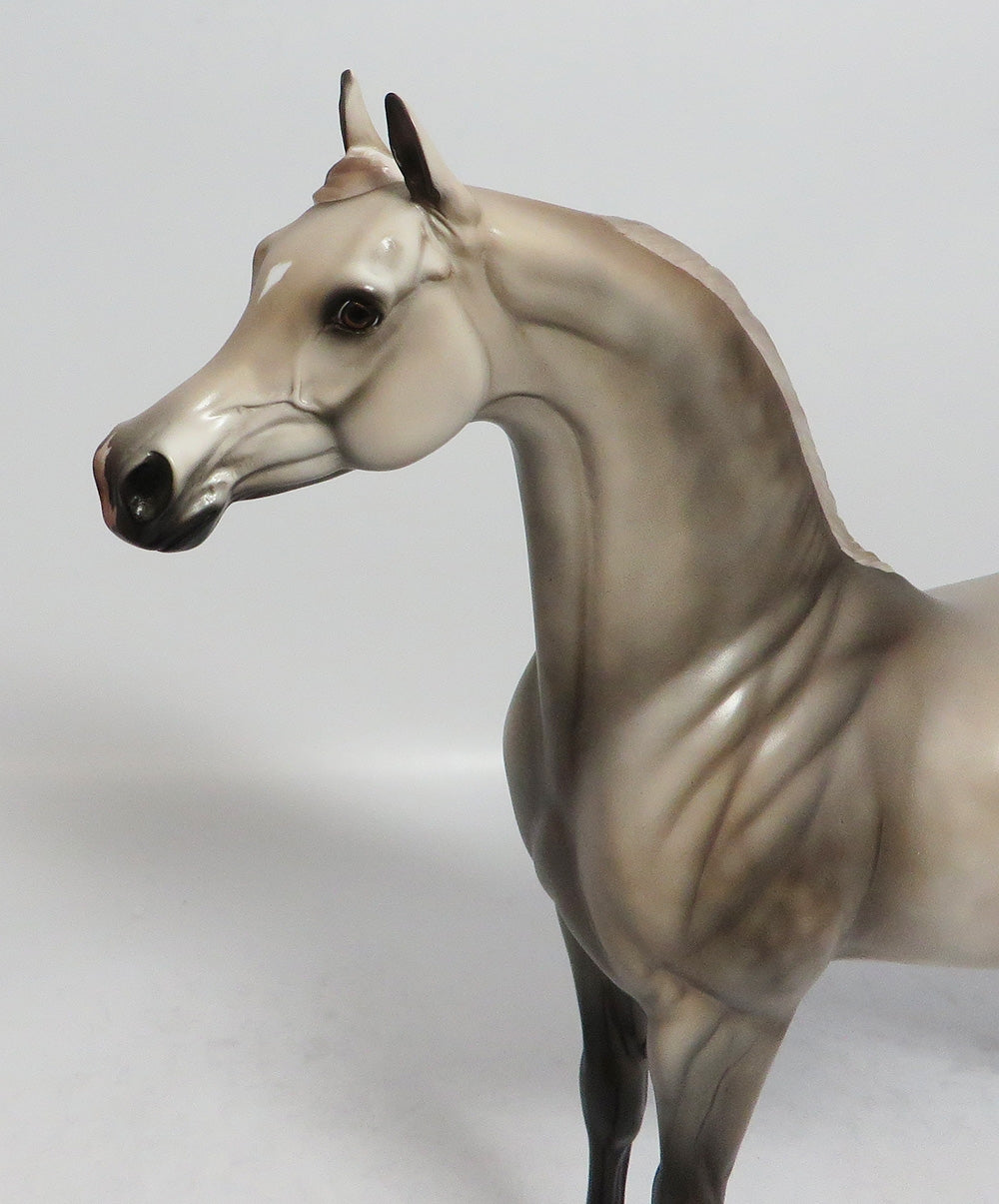 BOOGIE ON DOWN-OOAK DAPPLE GREY ARABIAN MODEL HORSE SUPER BOWL SALE 2018