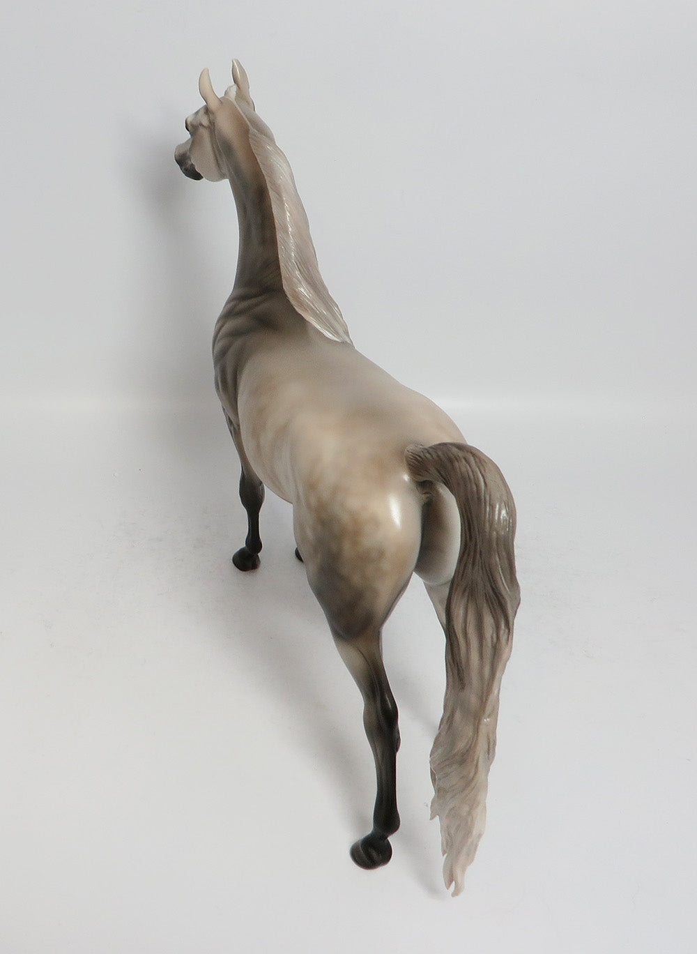 BOOGIE ON DOWN-OOAK DAPPLE GREY ARABIAN MODEL HORSE SUPER BOWL SALE 2018
