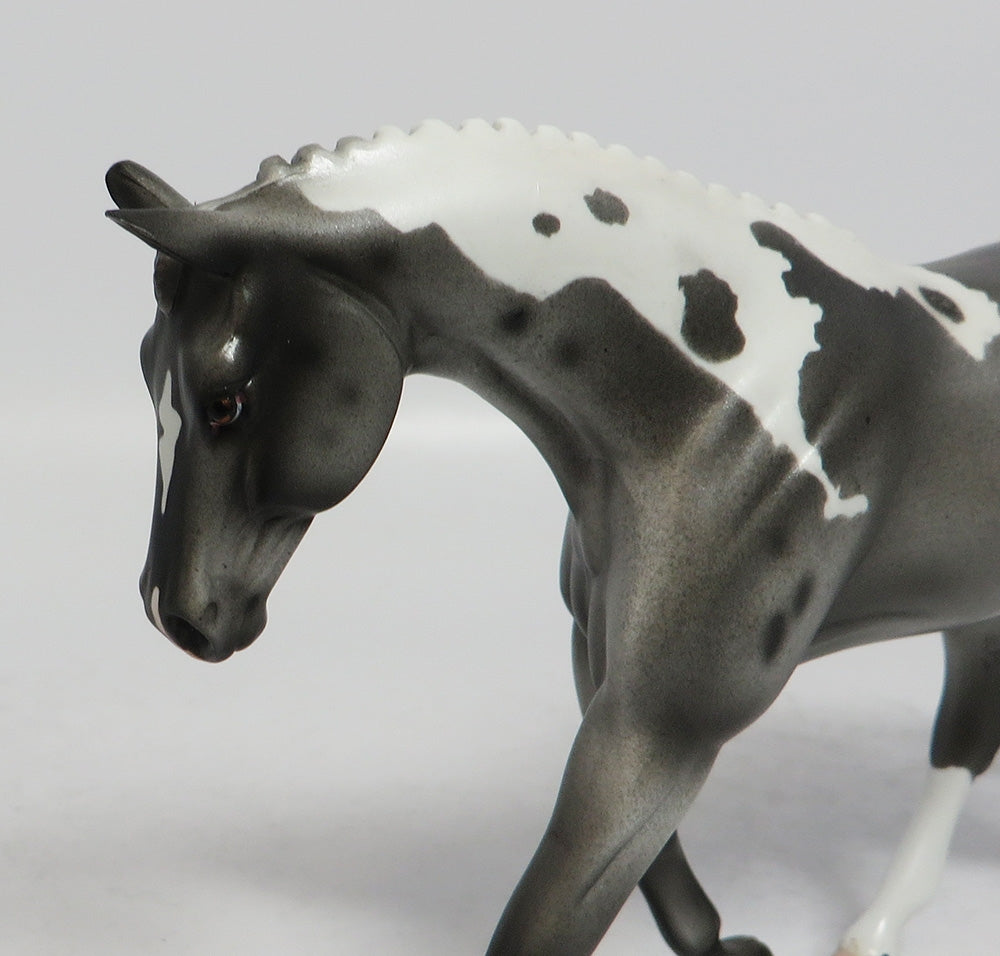 BRONX-OOAK GRULLA PINTOLOOSA PEBBLES MODEL HORSE BEST OFFER 2018
