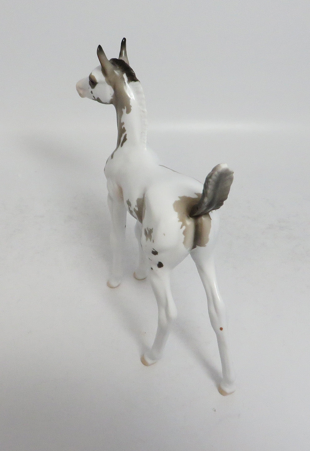 MY BONNY-LE-5 GRULLA PAINT FOAL MODEL HORSE SUPER BOWL SALE 2018