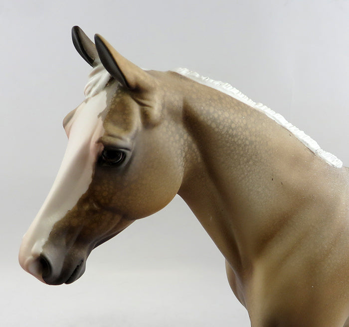 Palomino