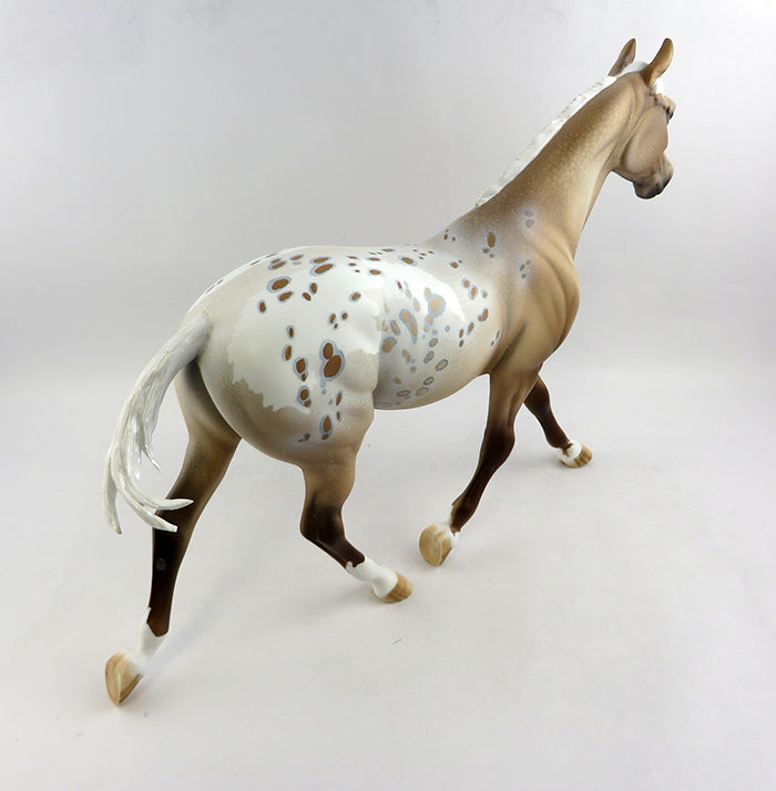 Appaloosa