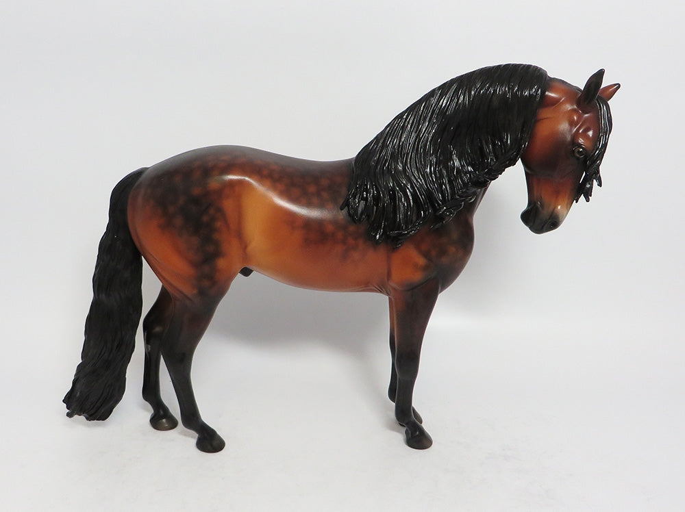 MORE BRANDY-OOAK DAPPLE BAY ANDALUSIAN MODEL HORSE BY SHERYL LEISURE