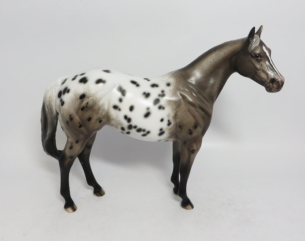 LILY OLAY-OOAK ROAN APPALOOSA ISH MARE MODEL HORSE BY SHERYL LEISURE