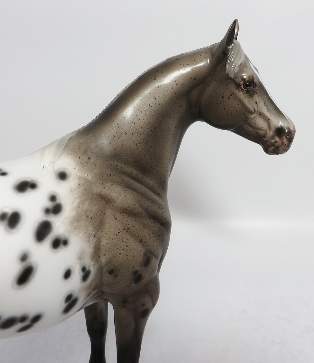 LILY OLAY-OOAK ROAN APPALOOSA ISH MARE MODEL HORSE BY SHERYL LEISURE