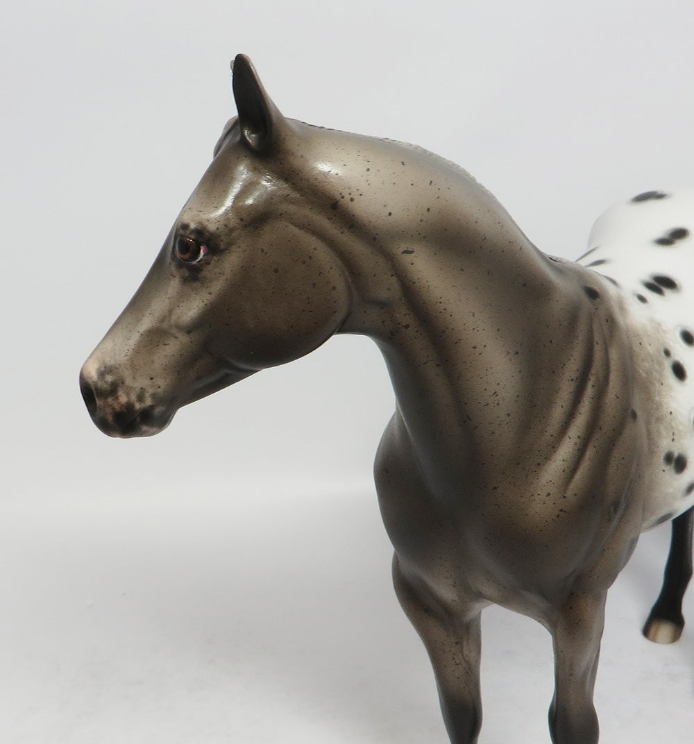 LILY OLAY-OOAK ROAN APPALOOSA ISH MARE MODEL HORSE BY SHERYL LEISURE