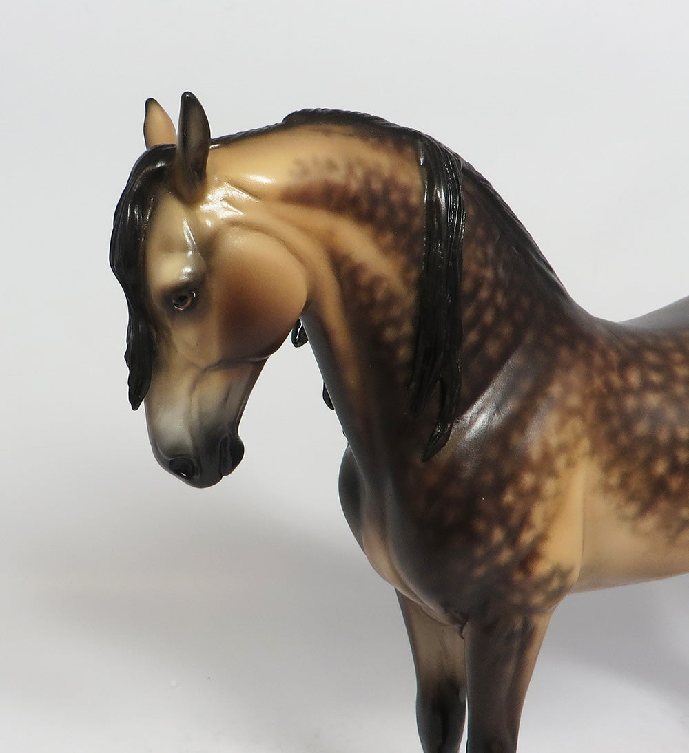 MAXMILLIAN-OOAK SOOTY BUCKSKIN ANDALUSIAN MODEL HORSE BY SHERYL LEISURE