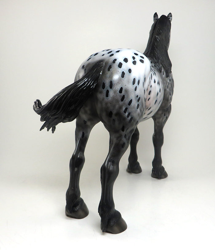 BAY APPALOOSA