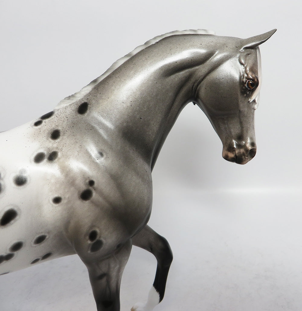 TEXAS JACK-OOAK ROAN APPALOOSA THOROUGHBRED MODEL HORSE BY SHERYL LEISURE