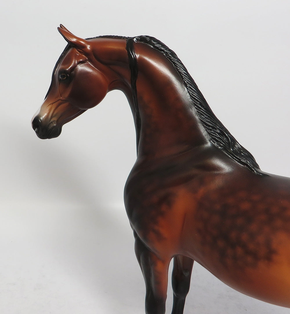 BARRACHO-OOAK DAPPLE BAY ARABIAN MODEL HORSE BY SHERYL LEISURE