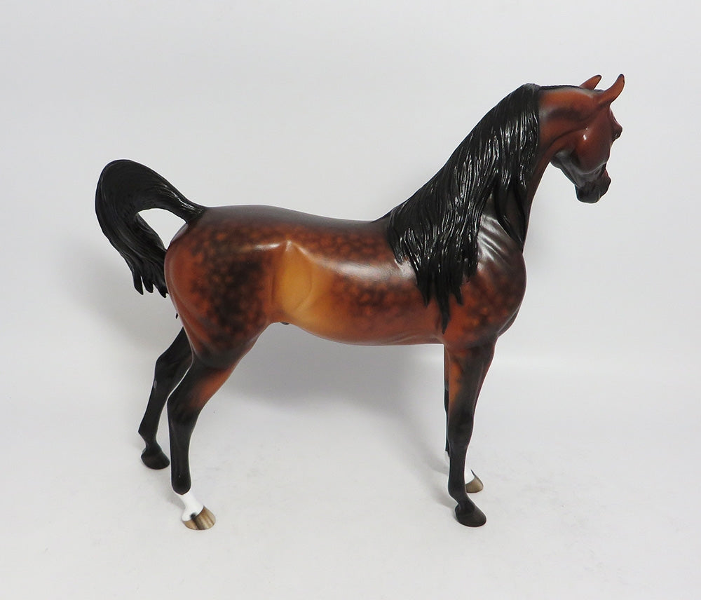 BARRACHO-OOAK DAPPLE BAY ARABIAN MODEL HORSE BY SHERYL LEISURE