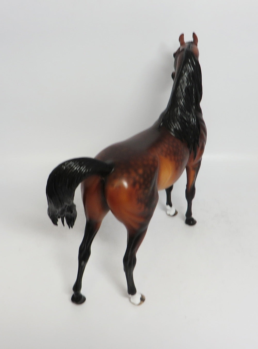 BARRACHO-OOAK DAPPLE BAY ARABIAN MODEL HORSE BY SHERYL LEISURE