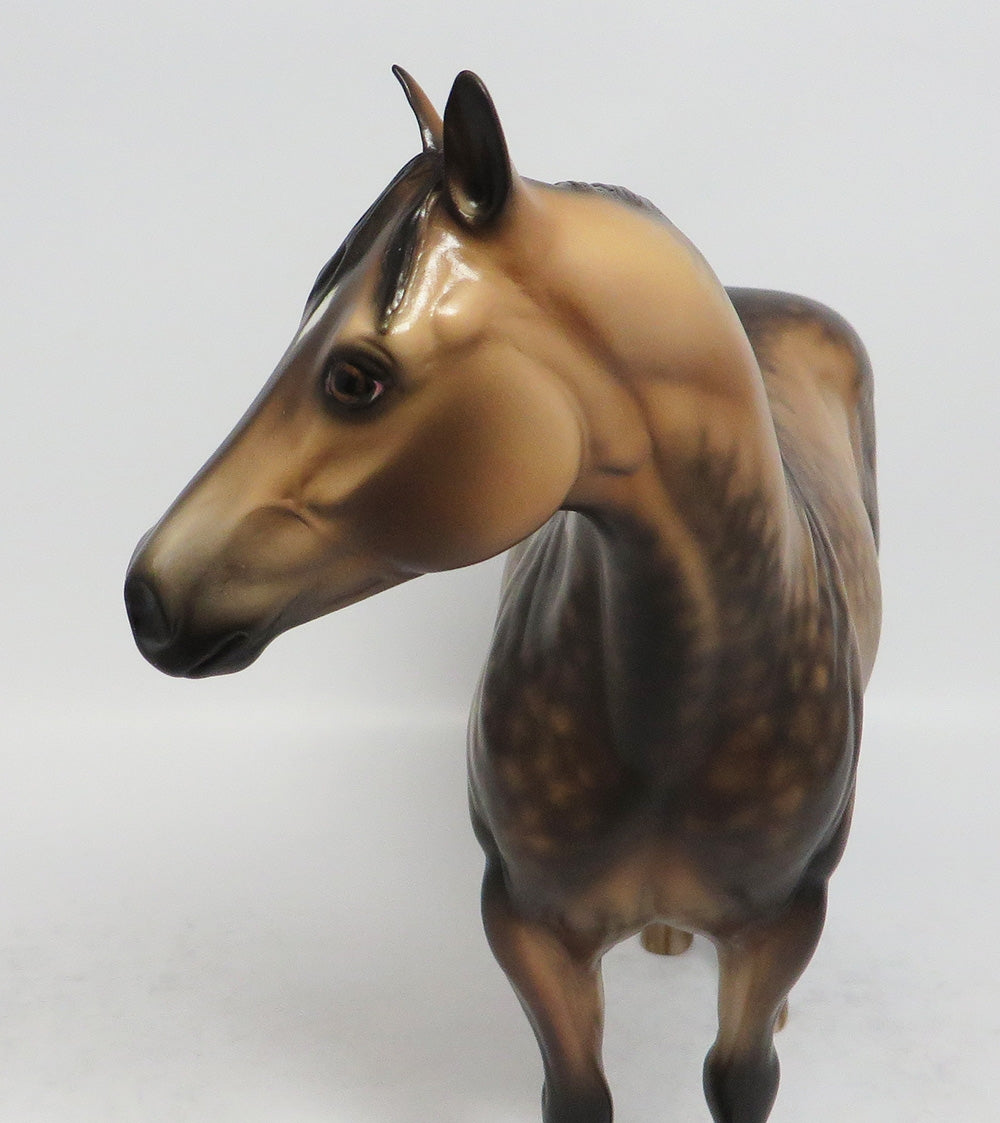 PROFESSOR FATE-OOAK SOOTY DAPPLE BUCKSKIN ISH MODEL HORSE BY SHERYL LEISURE