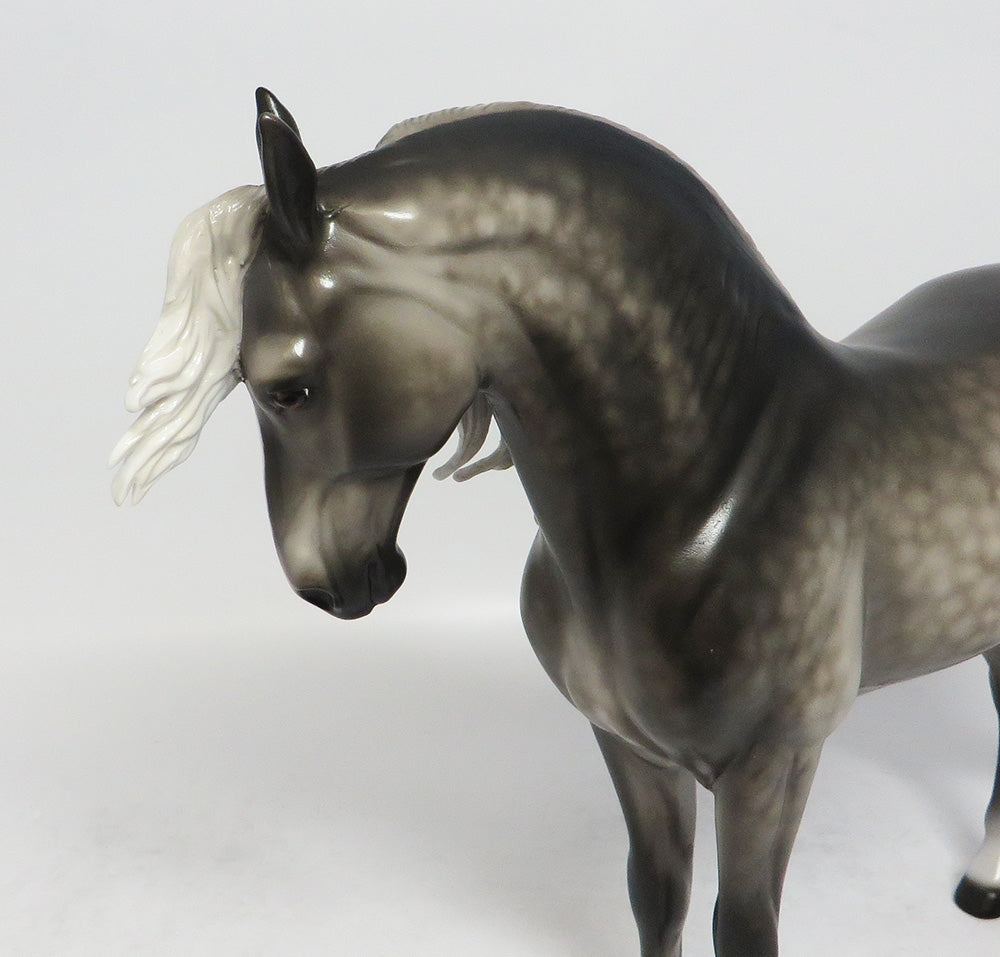 LUCIUS-OOAK STAR DAPPLE GREY ANDALUSIAN MODEL HORSE BY SHERYL LEISURE