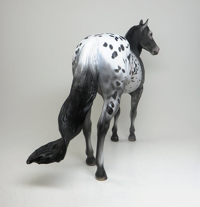 appaloosa mare