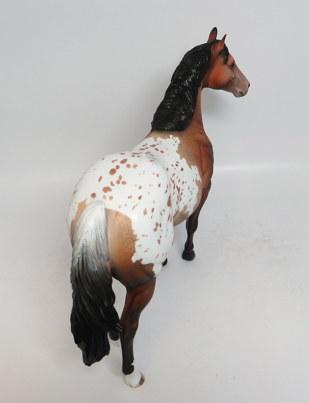FREE TO DECIDE-OOAK BAY APPALOOSA ISH MODEL HORSE BY DAWN QUICK 1/08/18