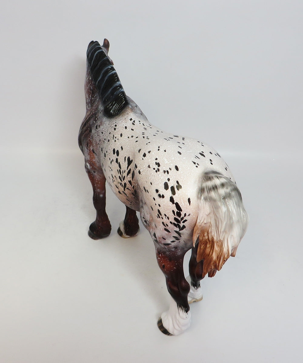 LADY GAGA-OOAK APPALOOSA HEAVY DRAFT EQUINE AFFAIRE 2018