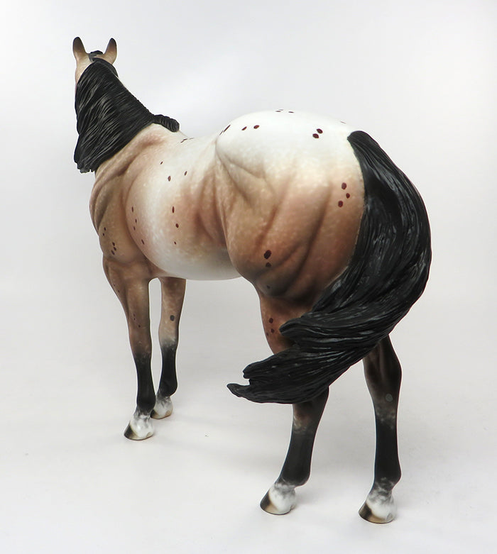 BISCUIT-N-GRAVY-OOAK BAY APPALOOSA ISH MODEL HORSE PAINTED & SIGNED BY ALLEN KATT 9/1