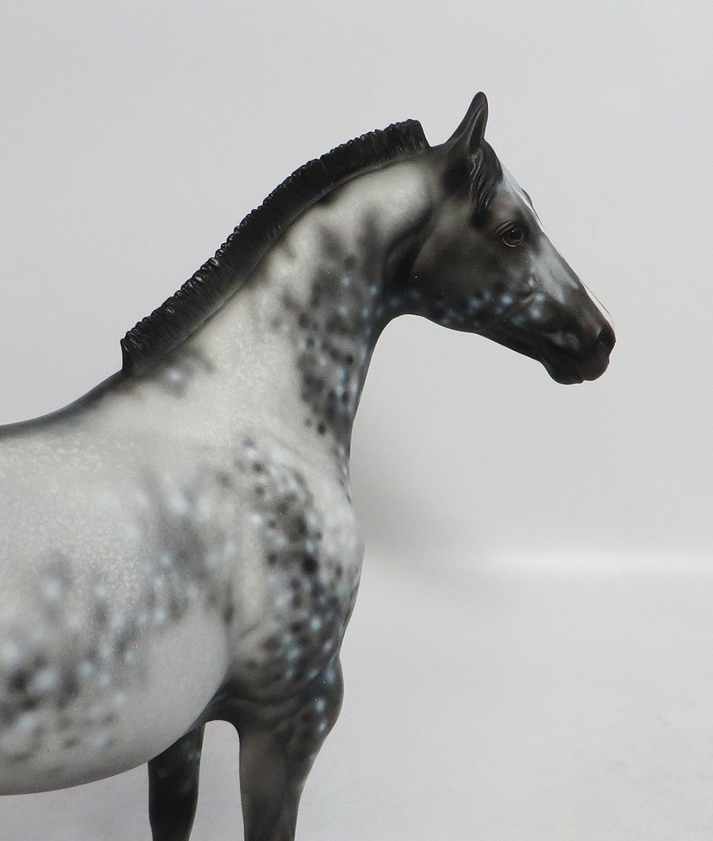 MON TRESOR-OOAK APPALOOSA ISH MODEL HORSE 02/16/18