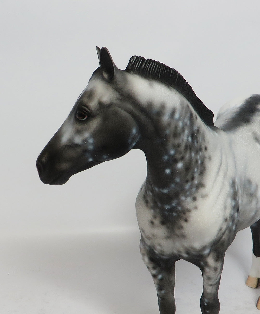 MON TRESOR-OOAK APPALOOSA ISH MODEL HORSE 02/16/18