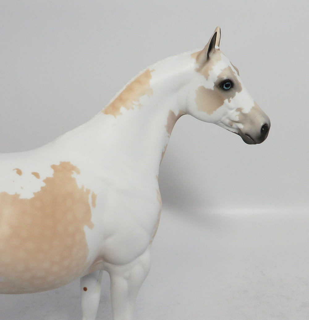 MACUSHA- OOAK DAPPLE PALOMINO PINTO ISH MODEL HORSE BY DAWN QUICK EA 2018