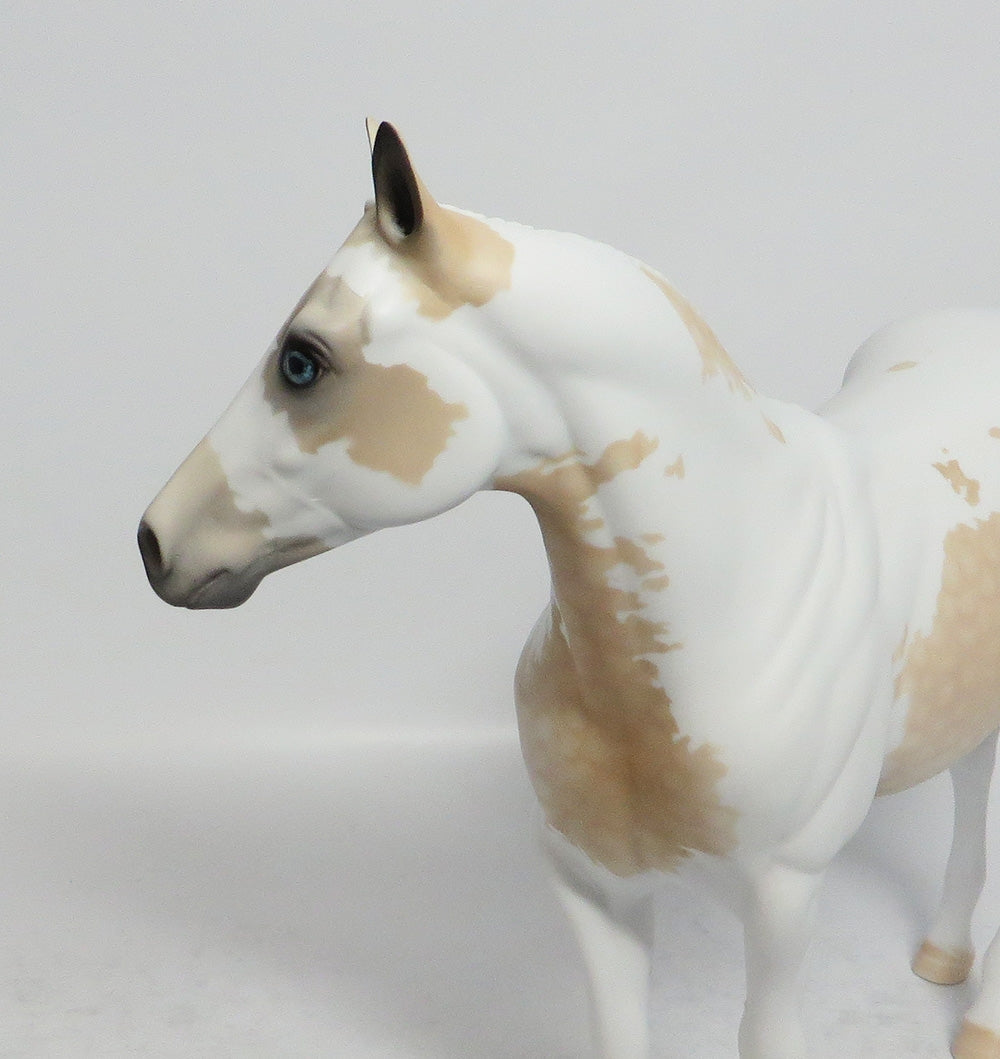 MACUSHA- OOAK DAPPLE PALOMINO PINTO ISH MODEL HORSE BY DAWN QUICK EA 2018