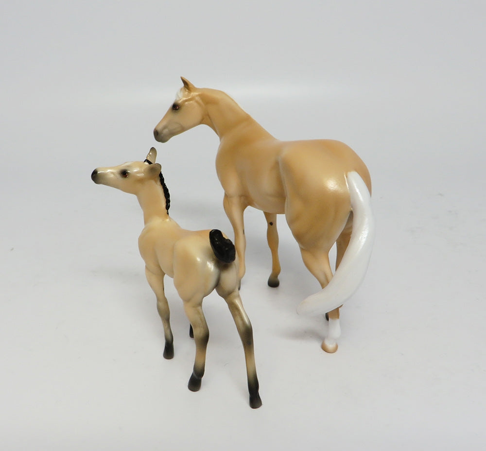 EQUILOCITY BASKET SHARKTASIC~25 TICKETS