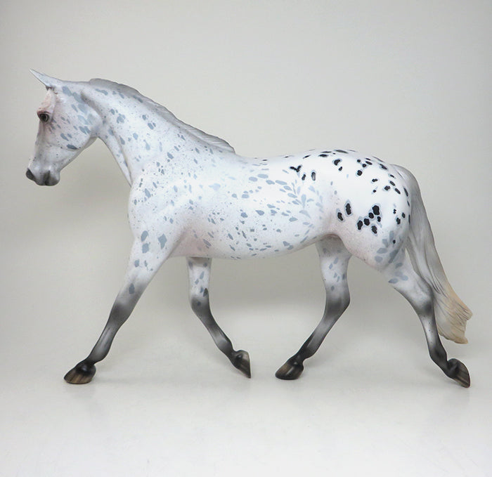 APPALOOSA PALOUSE