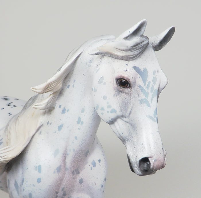 Appaloosa