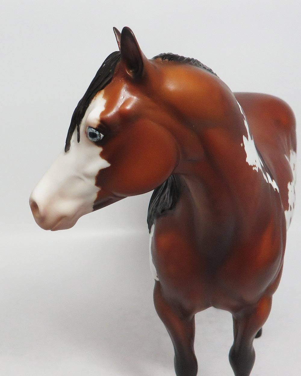 IT'S IN THE JEANS-OOAK WILD BAY OVERO ISH BY JULIE KEIM MODEL HORSE 02/16/18